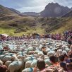 Transhumance